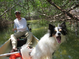 Leonard and Laia in the mangrove tunnel.