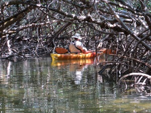 Our friend Mike in the mangrove tunnel.