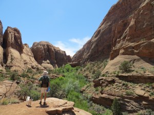 Looking toward the entrance of the canyon