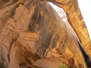 Morning Glory Natural Bridge