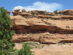 View of Moonhouse Ruin from north side of canyon