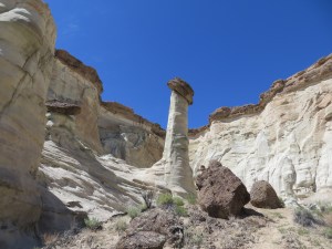 This one had a tippy cap