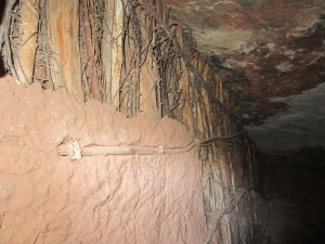 A wall inside a room with intact timbers, twine and mud walls