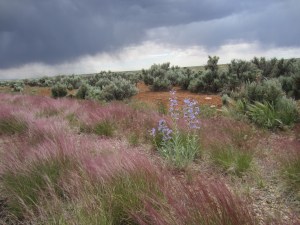 Georgous spring storm