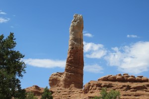 Oh my,  and right in the middle of the campground!!