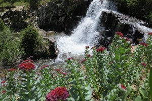 Twin falls along the way up