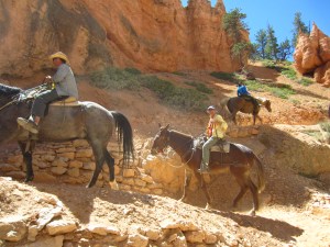 It was 1000 ft of switchbacks down into the canyon below.  
