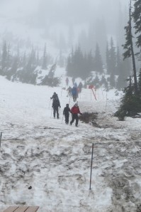 We even went to Paradise and all we found was snow!