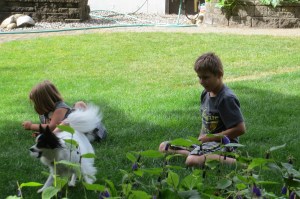 Logan, Darcy and Laia playing ball
