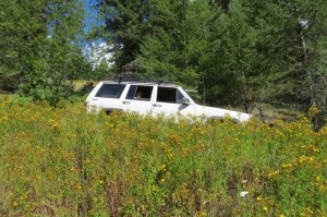 4 wheeling in a field of flowers, does it get any better?
