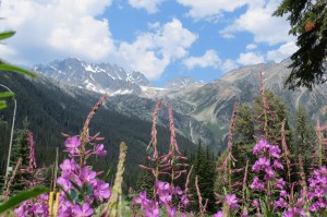 Glacier National Park