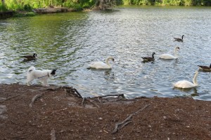 Laia loves her life on the road!