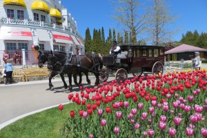 Stately carriage used to pick up guests of  Grand Hotel