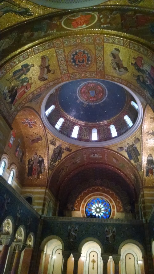 IMG_20170602_110338961